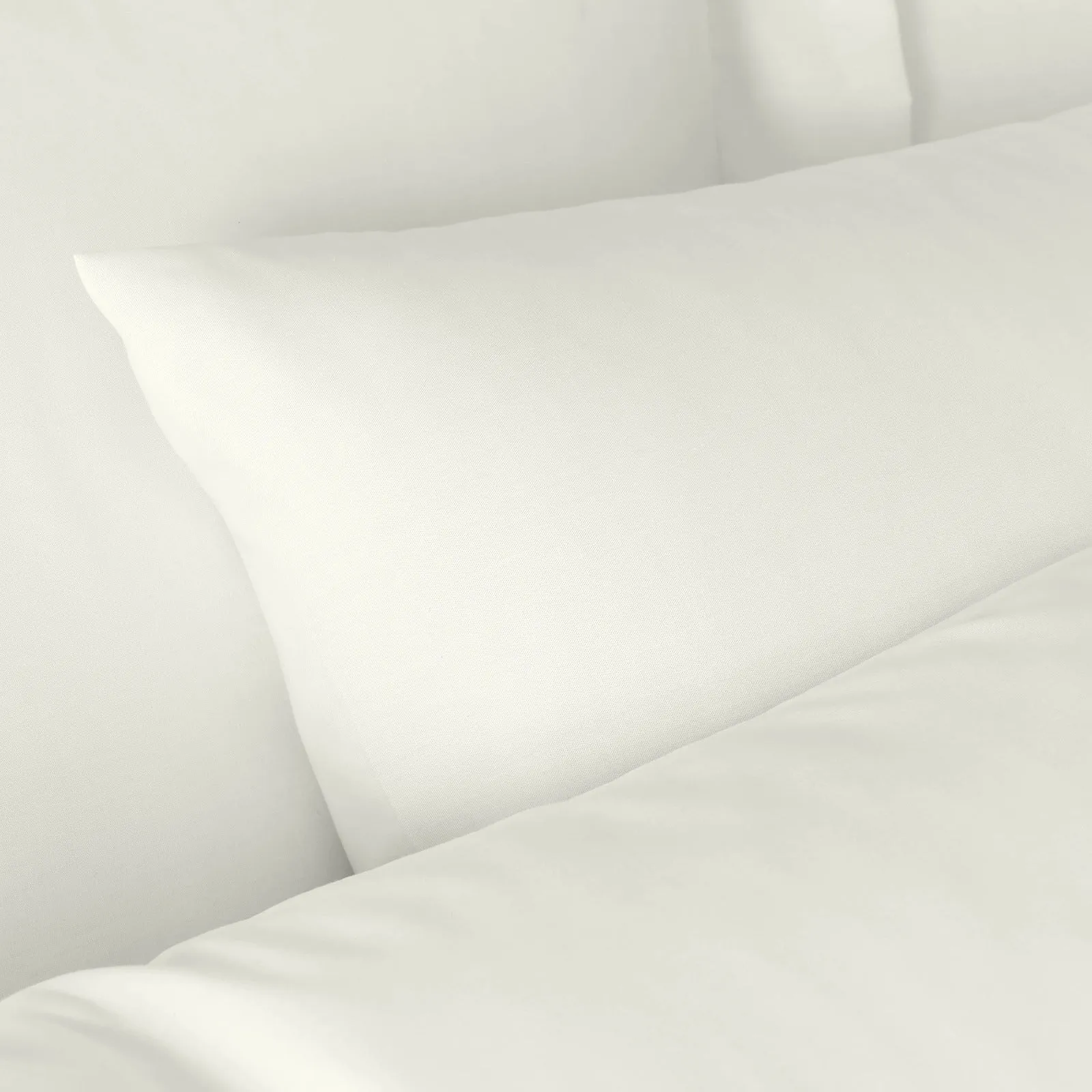 180 Thread Count 100% Egyptian Cotton Standard Pillowcase Pair - Cream