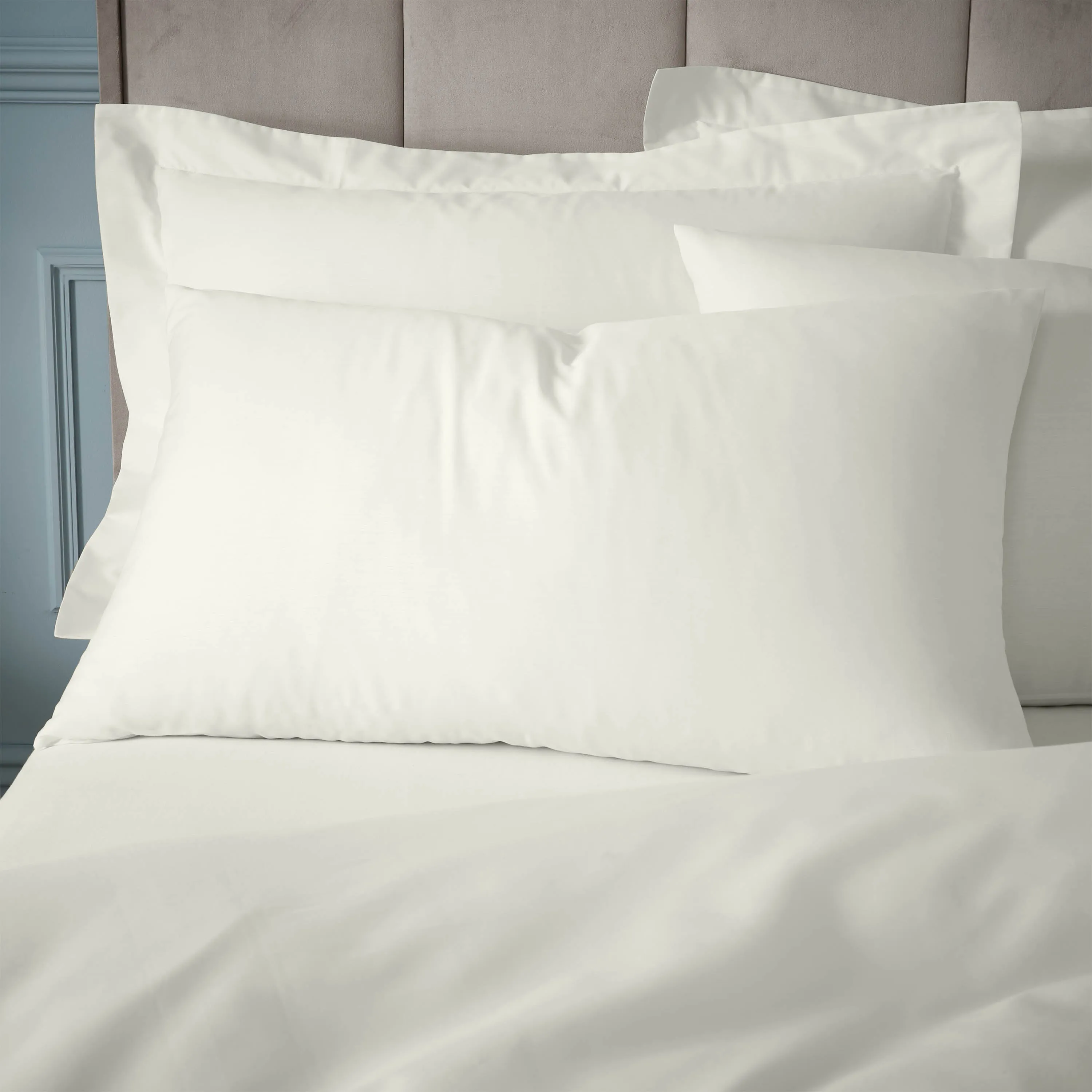 180 Thread Count 100% Egyptian Cotton Standard Pillowcase Pair - Cream