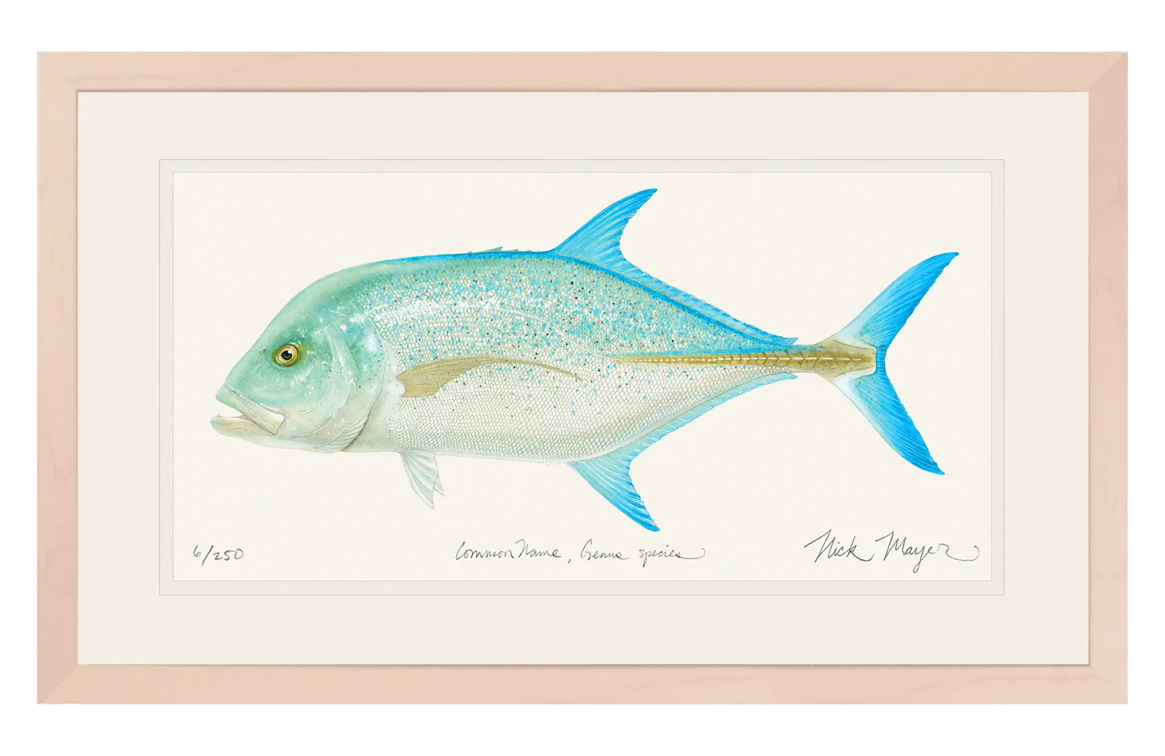 Bluefin Trevally Print