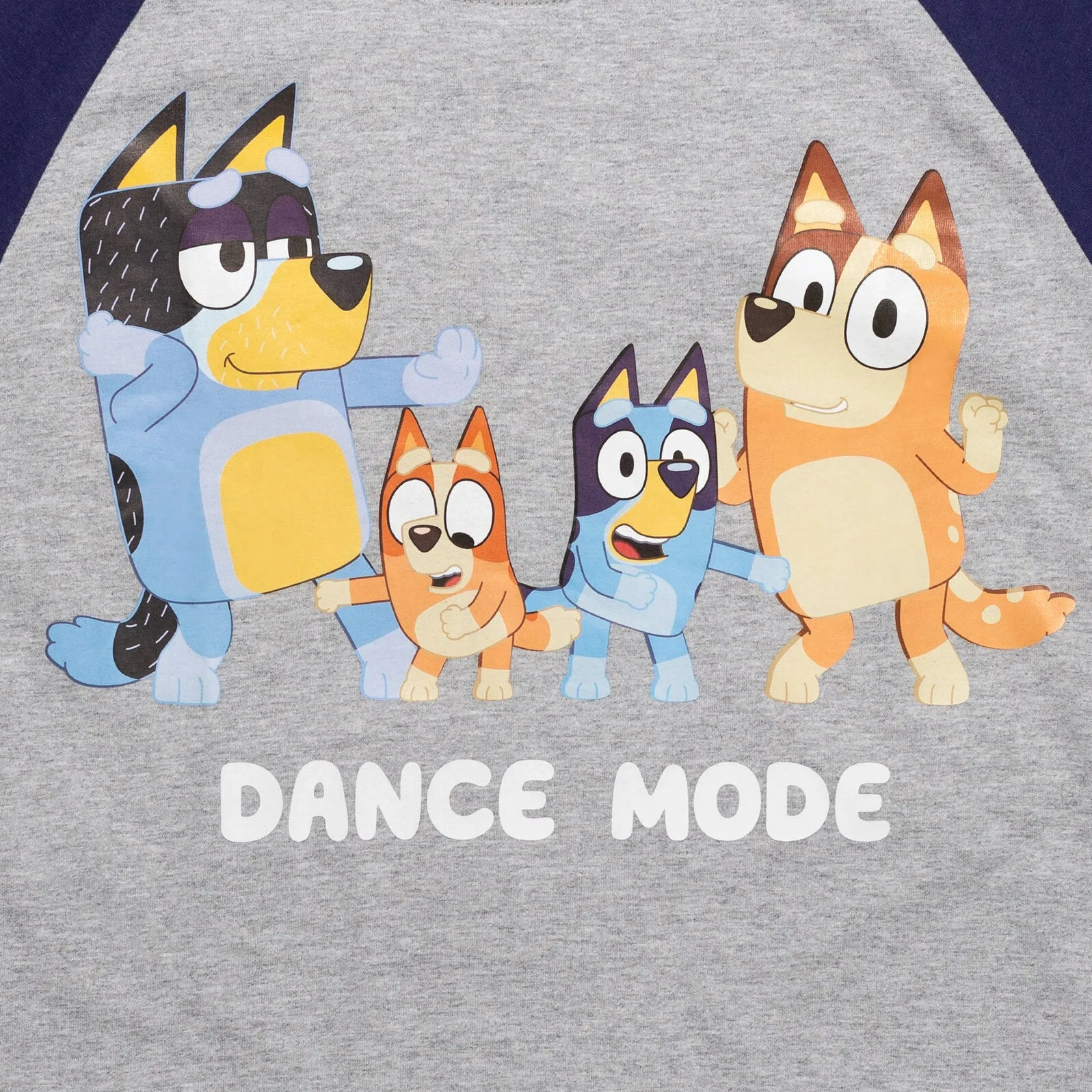 Bluey Matching Family T-Shirt