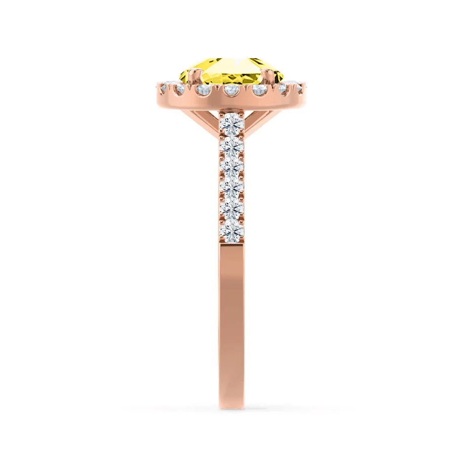 CECILY - Chatham® Lab Grown Yellow Sapphire & Diamond 18k Rose Gold Halo Ring