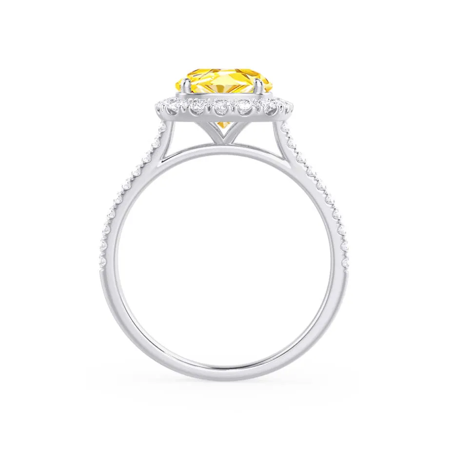 DARLEY - Chatham® Yellow Sapphire Elongated Cushion Micro Pavé 18k White Gold Halo