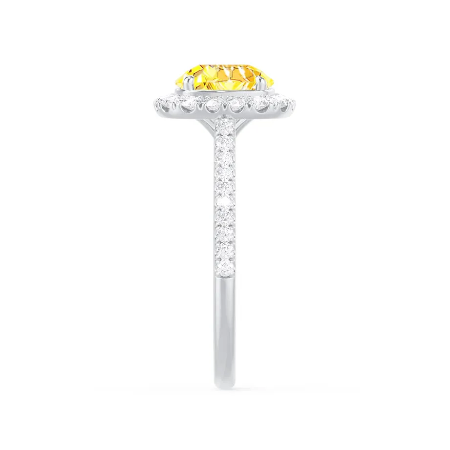 DARLEY - Chatham® Yellow Sapphire Elongated Cushion Micro Pavé 18k White Gold Halo