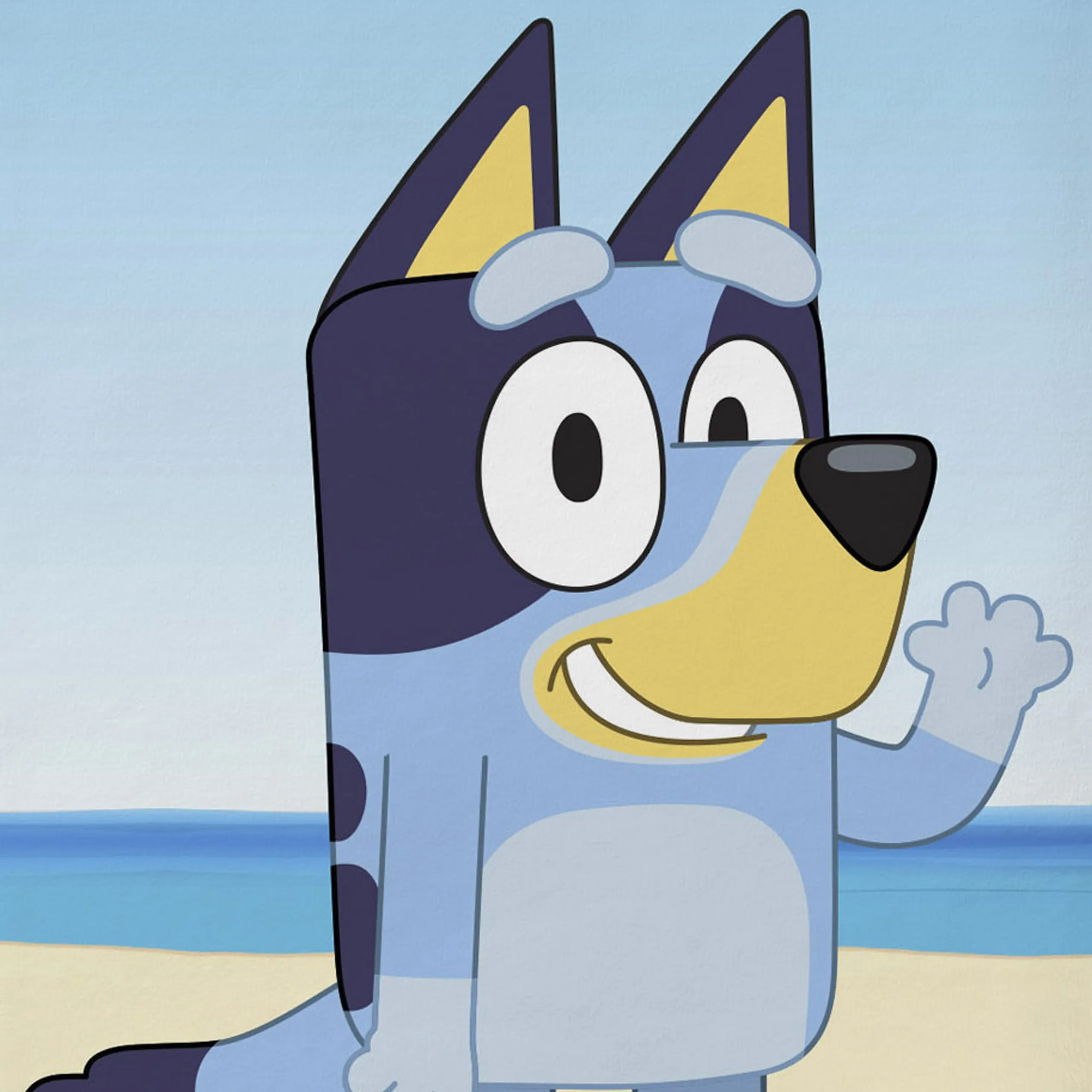 Kids Bluey Towel