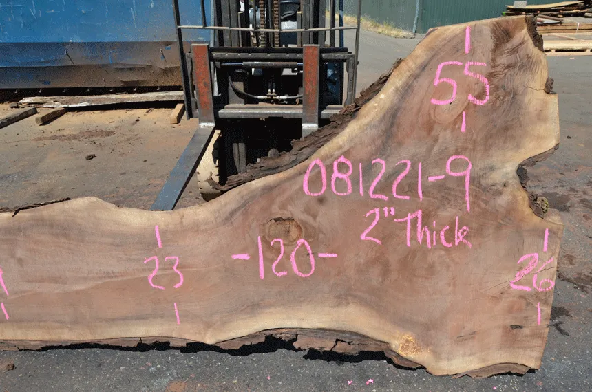 Oregon Black Walnut 081221-09