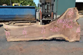 Oregon Black Walnut 081221-09