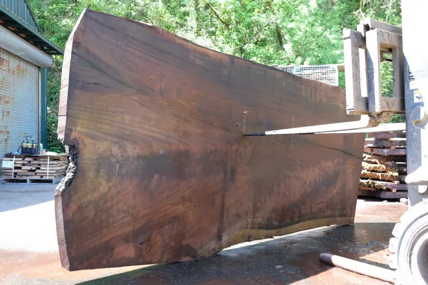 Oregon Black Walnut Slab 050623-10