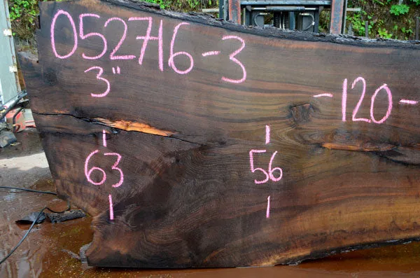 Oregon Black Walnut Slab 052716-03