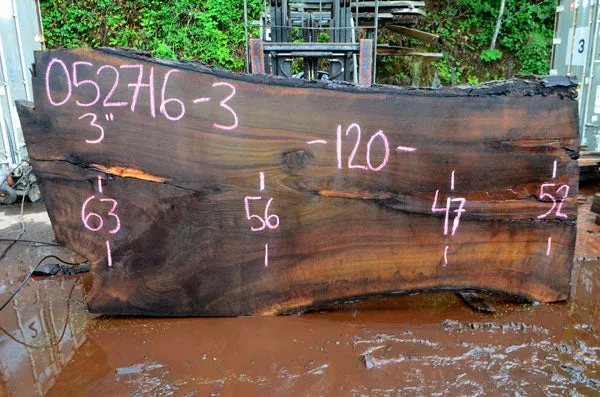 Oregon Black Walnut Slab 052716-03