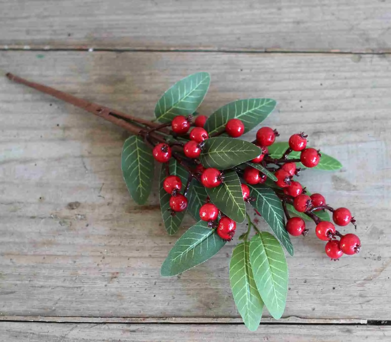 Red Berry Spray with Leaves